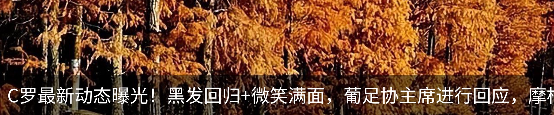 资讯动态